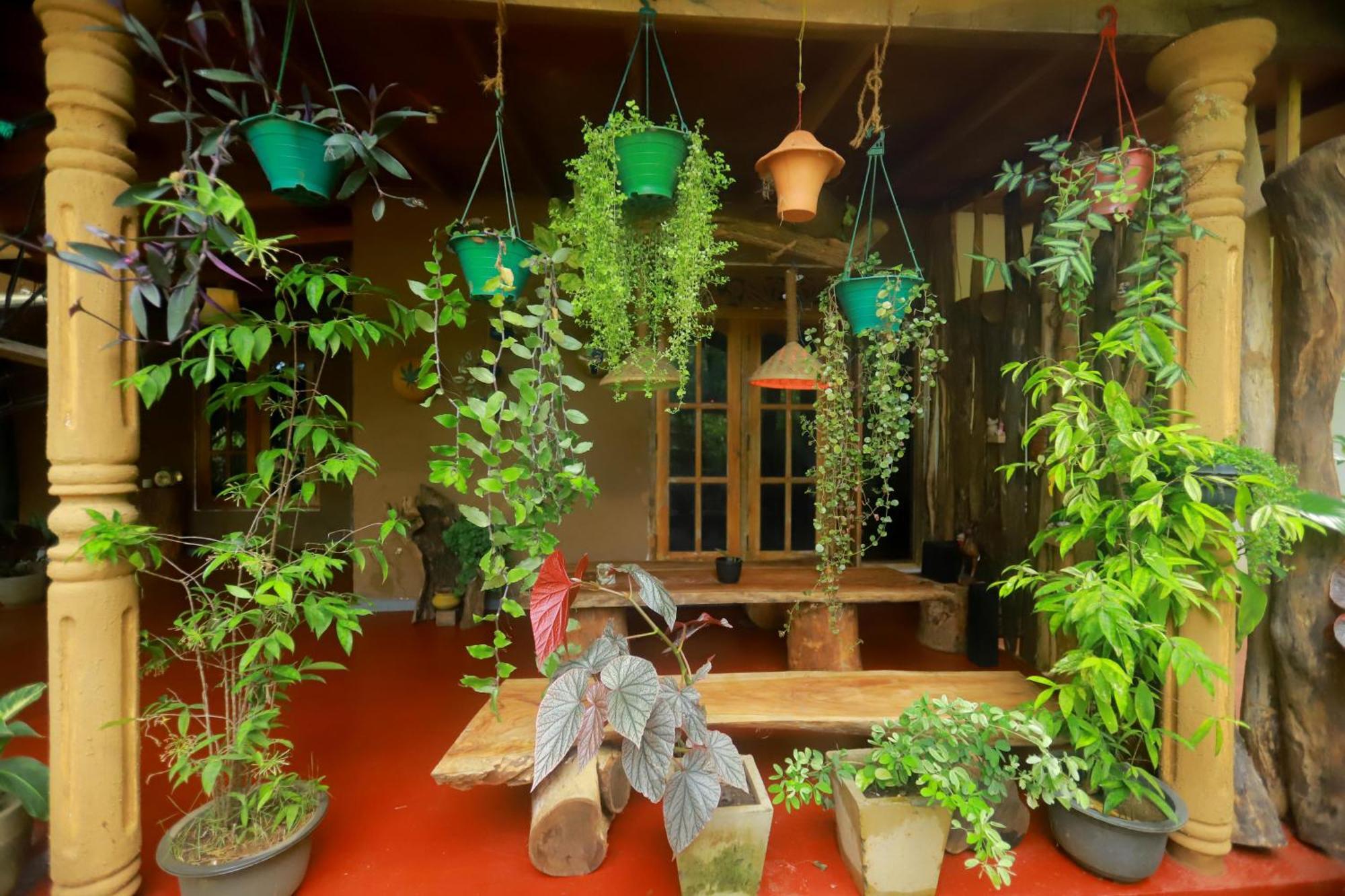 Dinna Nature Hostel Sigirîya Extérieur photo